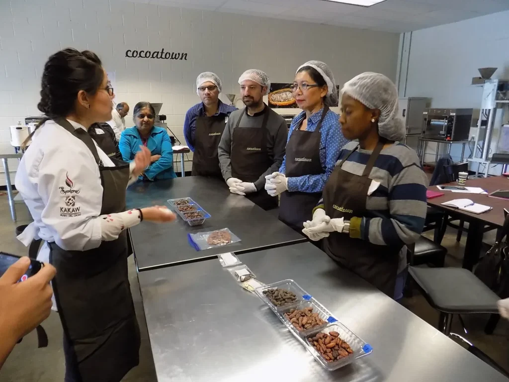 Chocolatiers bean-to-bar : de la fève à la tablette