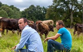 Univers du Wagyu élevé en France par Christophe Hay