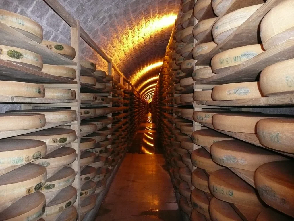 Fromages fermiers : comprendre le lait, le terroir et l’affinage