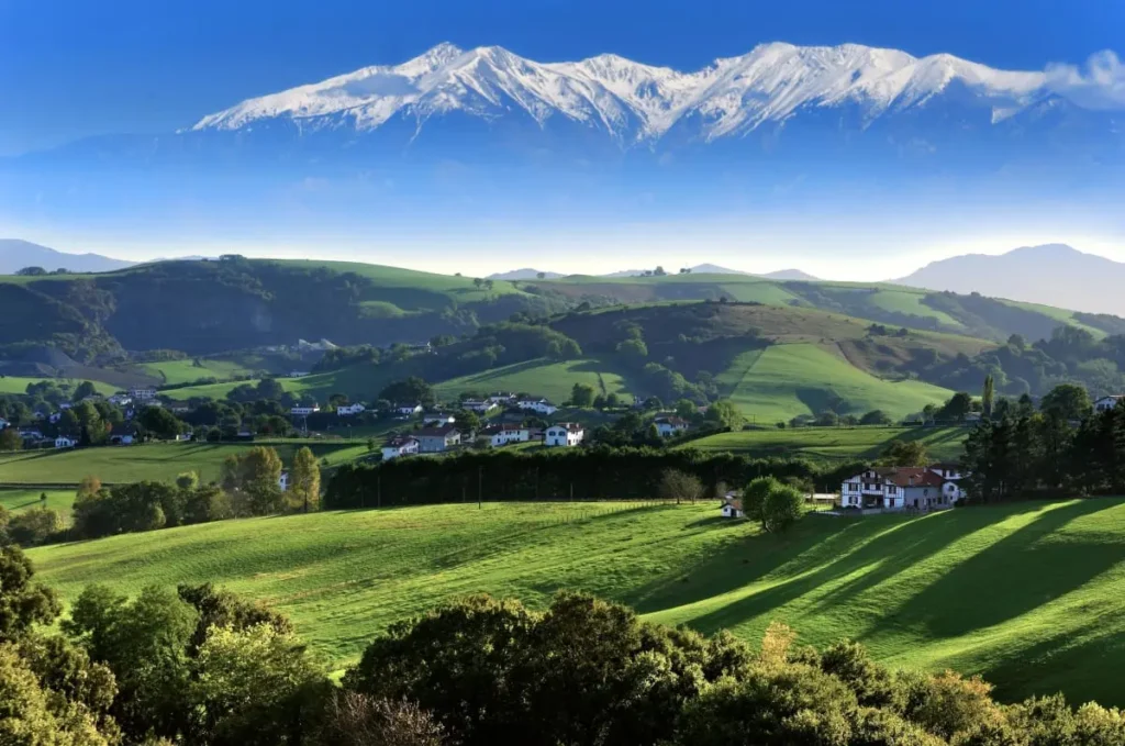 Culture du piment d’Espelette au Pays basque